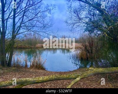 Feb Drayton Lakes RSPB Nature Reserve, Cambridgeshire Stockfoto