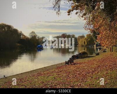 Das Riverside Sunbury an der Themse im Herbst. Stockfoto