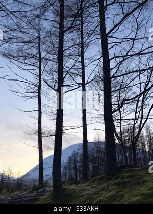 In der Dämmerung wurden Bäume und Berge silhouettiert Stockfoto