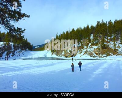 Bow River und Bow fallen im Banff National Park, Alberta, Kanada, Touristen, Fotografen Stockfoto