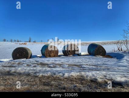 Dubuque, IOWA, 23.02.20 Landschaftlich schönes Foto des Bodens, der teilweise mit Schnee bedeckt ist, mit Heu auf dem Bauernfeld unter einem hellblauen Himmel an einem sonnigen Tag. Stockfoto