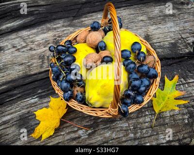 Korb mit Nüssen, Trauben und Quitten auf rustikalem Holztisch Stockfoto