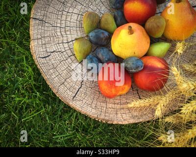 Weizen und Herbstfrüchte wie Äpfel, Birnen, Pflaumen, Feigen, Pfirsiche, auf einem Holzkäfig Stockfoto