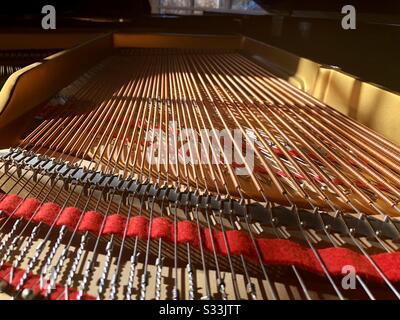 Headlong Perspektive der Innenseite eines Baby Grand Pianos. Saiten, Filz, Messingstruktur und Knoten sind sichtbar. Stockfoto