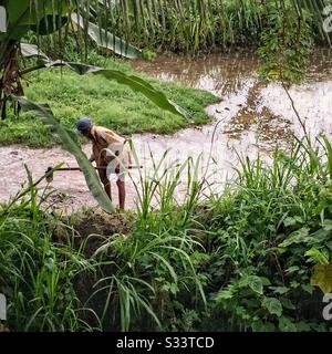 Ein Mann träumt einen Bewässerungskanal für Reisfelder, Candidasa, Bali, Indonesien Stockfoto