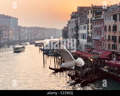 Canal Grande gesehen von Rialto Bridge, Venedig, Italien Stockfoto