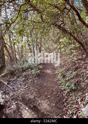 Wanderweg im Deception Pass State Park, Washington State, USA Stockfoto