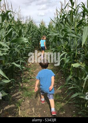 Kinder, die durch ein Labyrinth von Mais in einem Maisfeld laufen Stockfoto