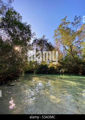 Morgen auf dem Weeki Wachee Springs State Park, Florida Stockfoto