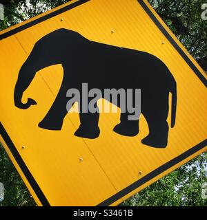 Straßenschild vor Anwesenheit wilder Elefanten, Timur-Barat Highway, Perak, Malaysia Stockfoto