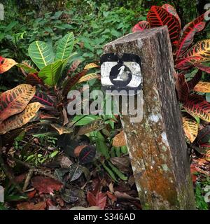 Ein Markerposten für eine Wanderroute, Penang Hill, Malaysia Stockfoto
