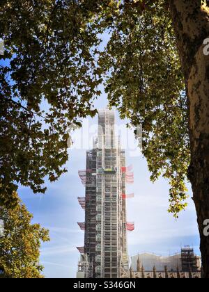 Das Gerüst bedeckt Big Ben, der unter Herbstbäumen am Parliament Square, London, zu sehen ist Stockfoto