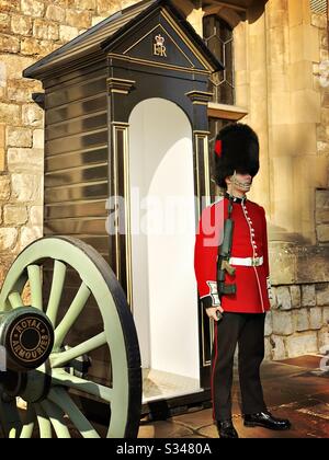 Ein Schotten Wächter, der mit einer Kanone vor dem Jewel House einkerkelt. Waterloo Block am Tower of London. UNESCO-Weltkulturerbe. Stockfoto