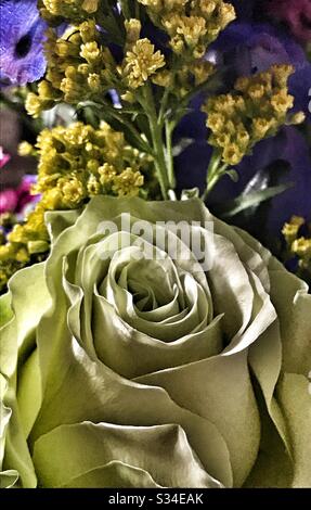 Gelbe Rose in einem Blumenstrauß Stockfoto