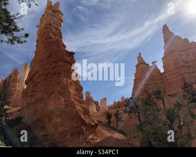 Bryce Canyon Nationalpark Stockfoto