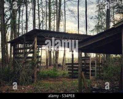 Holzschuppen am Abend Stockfoto