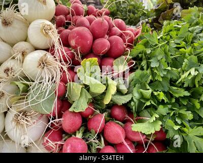 Frische Zwiebeln, rosafarbene Radieschen und Petersilie werden auf dem kalifornischen Bauernmarkt im Freien angeboten Stockfoto