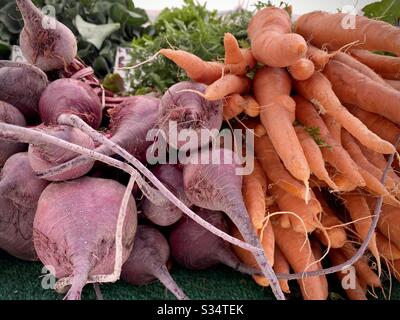 Frische Rüben und Karotten ausgestellt, zum Verkauf auf dem Bauernmarkt im Freien in Kalifornien Stockfoto