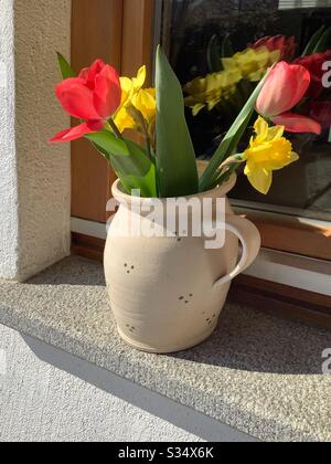 Daffodil und rote Tulpen im Topf am äußeren Fensterschweller Stockfoto