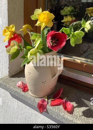 Strauß von osterblumen in Vase auf der Fensterbank. Einige rote Tulpenblätter sind bereits gefallen Stockfoto