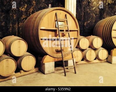 Großes Weinfass und kleinere Fässer auf einem Weinberg in Saint Remy de Provence, Frankreich. Stockfoto