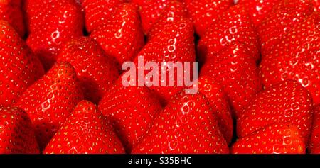 Frische reife Erdbeeren auf einem Markt erhältlich Stockfoto
