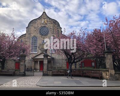 Frühlingskirschenblüte vor der Kirche Canongate Kirk, an der Royal Mile, Edinburgh, April 2020 Stockfoto