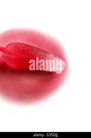 Schmelzende rote Eislolly auf weißem Hintergrund Stockfoto