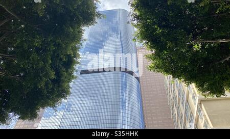 LOS ANGELES, CA, APR 2020: Blick durch grüne Bäume im Detail der Wolkenkratzer, in California Plaza, Downtown Financial District. Stockfoto