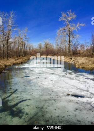 Carburn Park, Calgary, Alberta, Kanada, Stockfoto