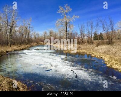 Carburn Park, Calgary, Alberta, Kanada, Stockfoto