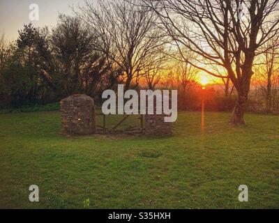 Sonnenuntergang über einem alten Tor mit Steinsäulen, eingerahmt von Bäumen. Winterzeit. Stockfoto