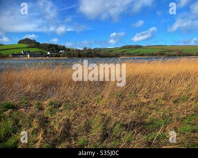 Im Vordergrund goldenes Schilf, im Mittelgrund ein See und im Hintergrund grüne Hügellandschaft mit ein paar Häusern. Stockfoto