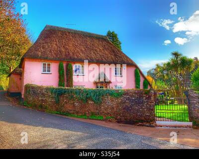 Ein altes englisches strohgedeckten Cottage mit rosa Wänden, umgeben von üppigen grünen Gärten und einem blauen Himmel. Stockfoto