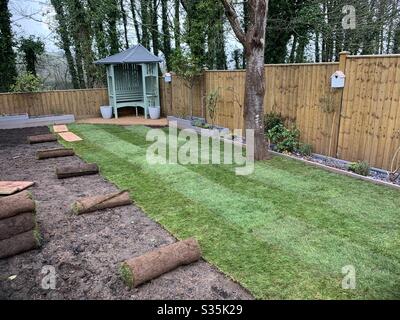 Rasenbelag im Garten. Rasen sofort. Stockfoto