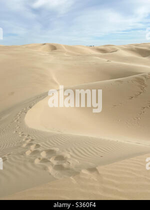 Sanddünen in der Nähe von Pismo Beach, Oceano Dunes SVRA, Kalifornien Stockfoto