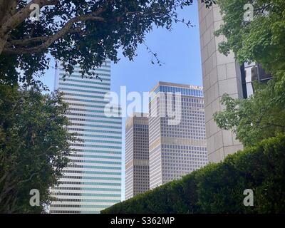 LOS ANGELES, CA, APR 2020: Wolkenkratzer, eingerahmt von Bäumen und Büschen in Downtown Los Angeles an einem klaren, sonnigen Tag Stockfoto