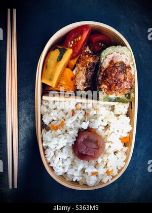 Hausgemachtes Mittagessen mit Hackfleisch gefüllte Paprika, Kürbis, Tomaten, Umeboshi und Reis in einer magewappa Bento Box Stockfoto