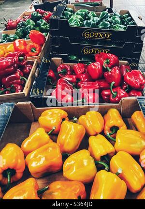 Rote, orange, gelbe und grüne Paprika in Boxen zum Verkauf bereit Stockfoto