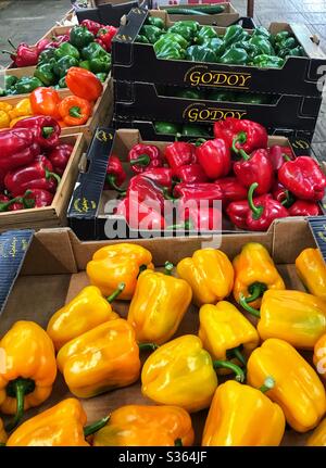 Rote, gelbe und grüne Paprika in Boxen zum Verkauf bereit Stockfoto