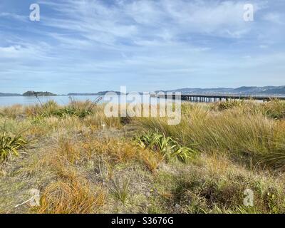 Petone Beach und Wharf-Wellington Neuseeland Stockfoto