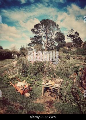 Hobbiton. Bukolischer Ort in Neuseeland, wo die Hobbits aus der Mittelerde leben. Lord of the rings Filmset. Stockfoto