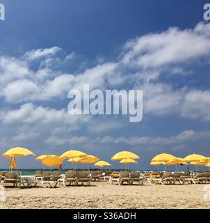 Blick auf den Strand in Tel Aviv mit gelben Sonnenschirmen gegen den blauen Himmel und Sonnenliegen Stockfoto