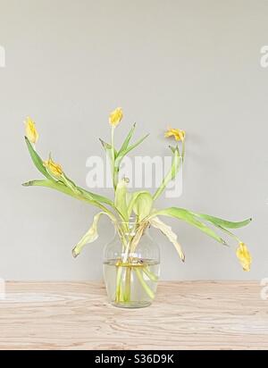 Monochromatisches Foto von gelben Tulpen in einer Glasvase Stockfoto