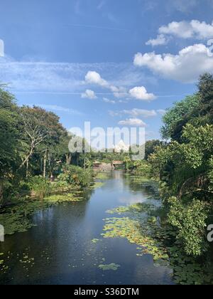 Blick auf Expedition Everest von der Brücke in Disney's Animal Kingdom in Walt Disney World Stockfoto