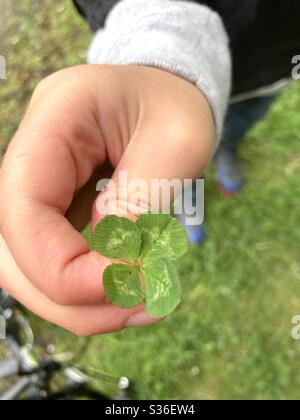 Vier Blatt Klee in der Hand des Kindes Stockfoto