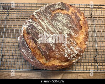 Hausgemachtes Brot. Ein großer knuspriger Laib Brot saß auf einem Drahtgitter auf einer hölzernen Arbeitsfläche. Stockfoto