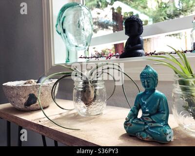 Luftpflanzen auf einem Regal mit Buddha-Figur. Stockfoto