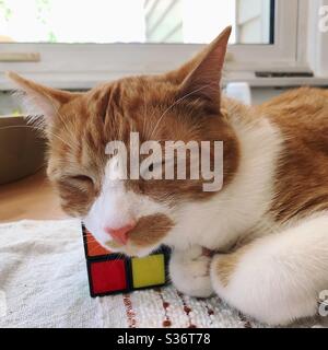 Orange und weiß gestromt auf dem Tisch mit Rubik Würfel als Kissen. Stockfoto