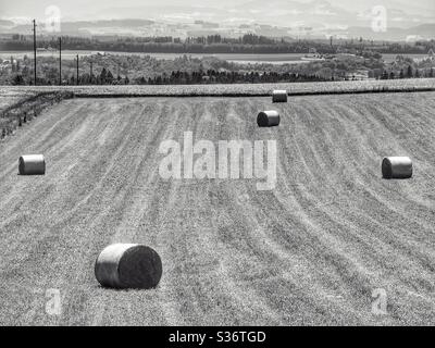 Dramatische Aufnahme von Heurollen im Feld Stockfoto